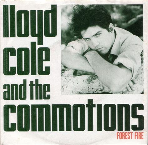 lloyd cole and the commotions discogs